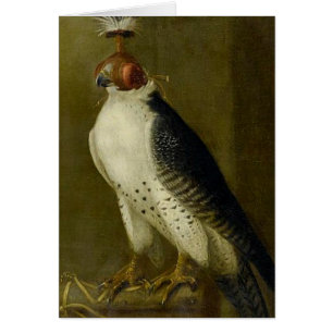 Jagdfalken - 17. Jahrhundert
