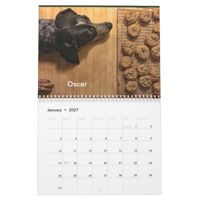 Jagdhund-Bezirk 2019/2020 Kalender (Jan 2027)