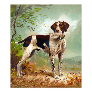 Jagdhund mit Vogel im Maul Fotodruck
