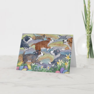Jagdhunde Eier, Grenz-Collie-Karte Feiertagskarte