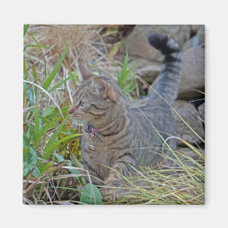 Jagdkatze Magnet