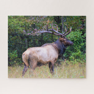 Jagdsaison - BullElch - 16x20 Zoll Puzzle