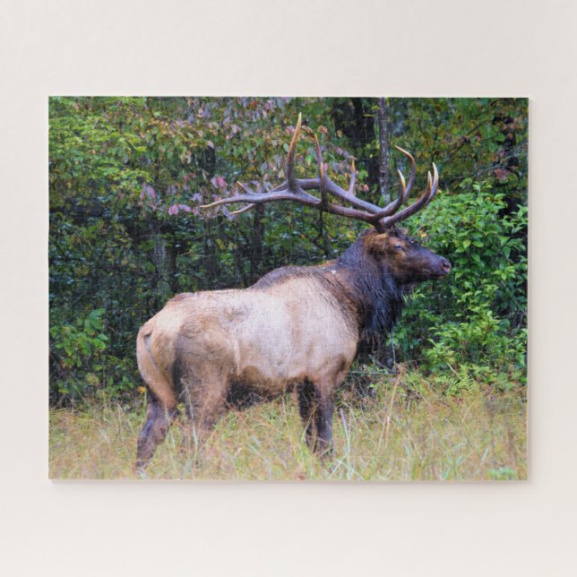 Jagdsaison - BullElch - 16x20 Zoll Puzzle (Horizontal)