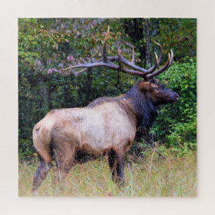 Jagdsaison - BullenElch - 20x20 Zoll Puzzle