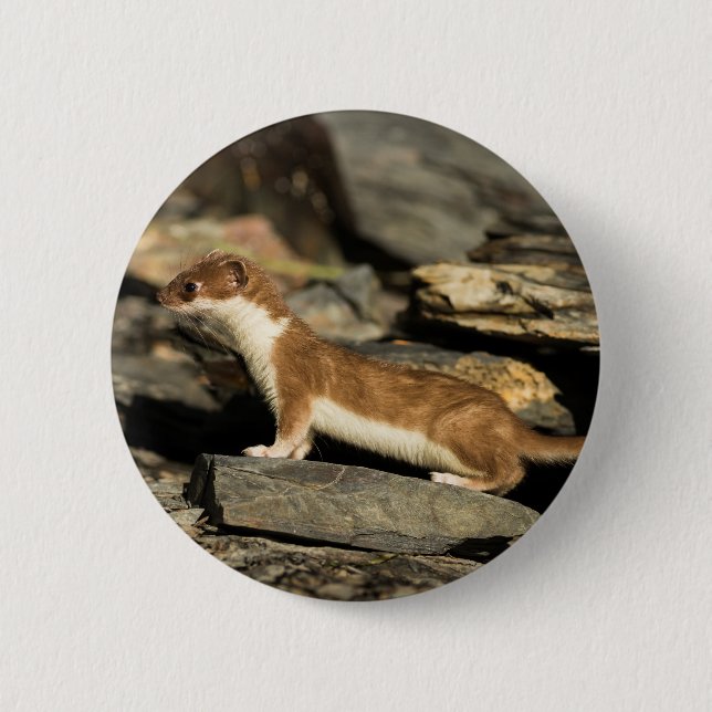 Jagdschaf Button (Vorderseite)