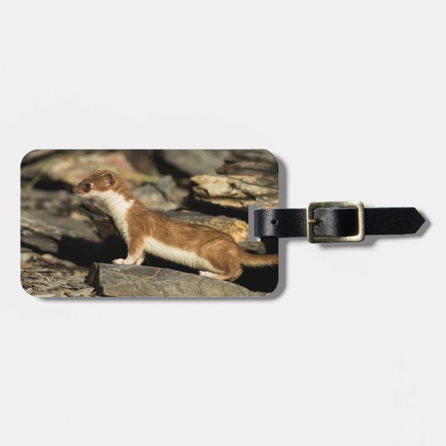 Jagdschaf Gepäckanhänger (Vorderseite horizontal)