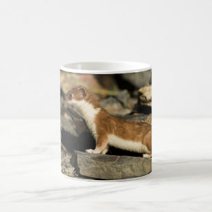 Jagdschaf Kaffeetasse