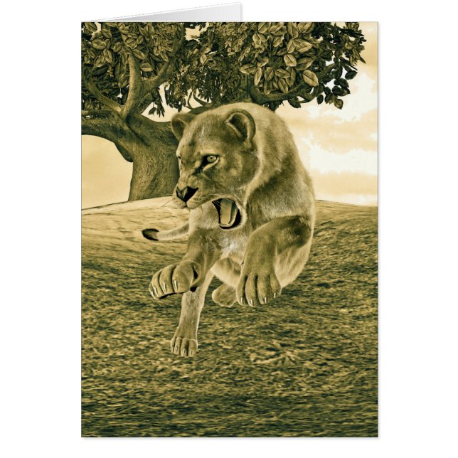 Jagdschlösser (Vorne)