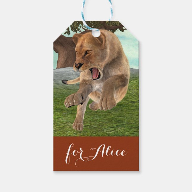 Jagdschlösser Geschenkanhänger (Vorderseite)