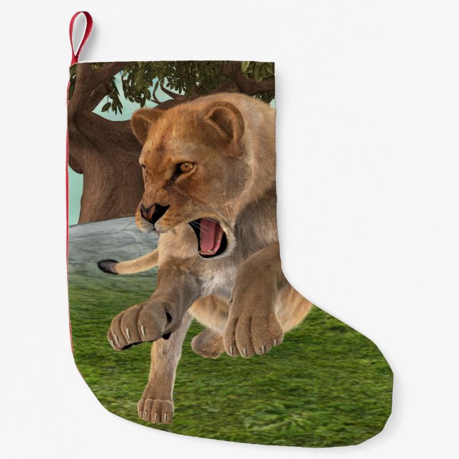 Jagdschlösser Kleiner Weihnachtsstrumpf (Vorderseite)