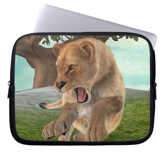 Jagdschlösser Laptopschutzhülle (Vorderseite)
