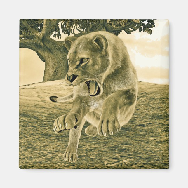 Jagdschlösser Magnet (Vorne)