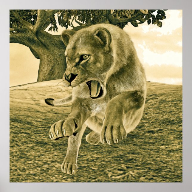 Jagdschlösser Poster (Vorne)