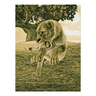Jagdschlösser Poster
