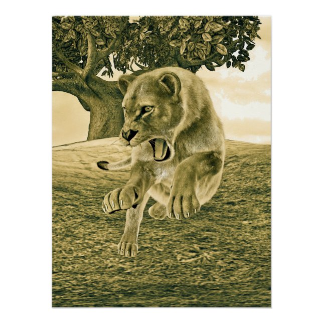 Jagdschlösser Poster (Vorderseite)