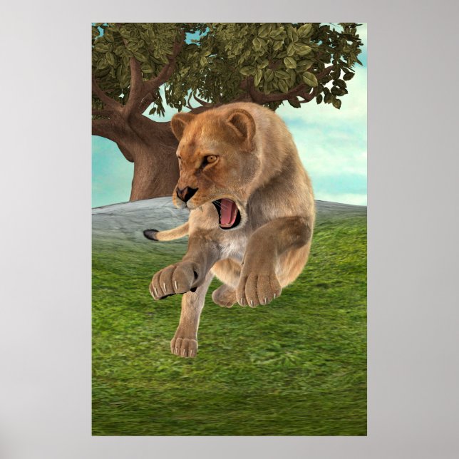 Jagdschlösser Poster (Vorne)