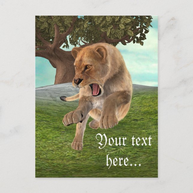 Jagdschlösser Postkarte (Vorderseite)