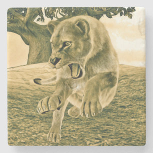 Jagdschlösser Steinuntersetzer