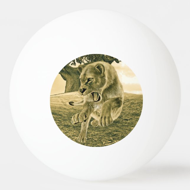 Jagdschlösser Tischtennisball (Vorderseite)