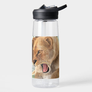 Jagdschlösser Trinkflasche