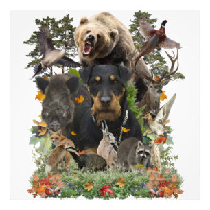 Jagdschrecker, Deutscher Jagdterrier Fotodruck