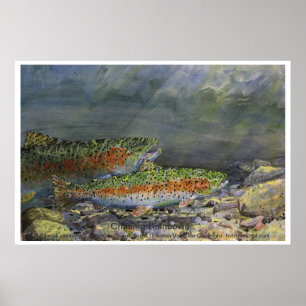 Jagen der Regenbogen Poster