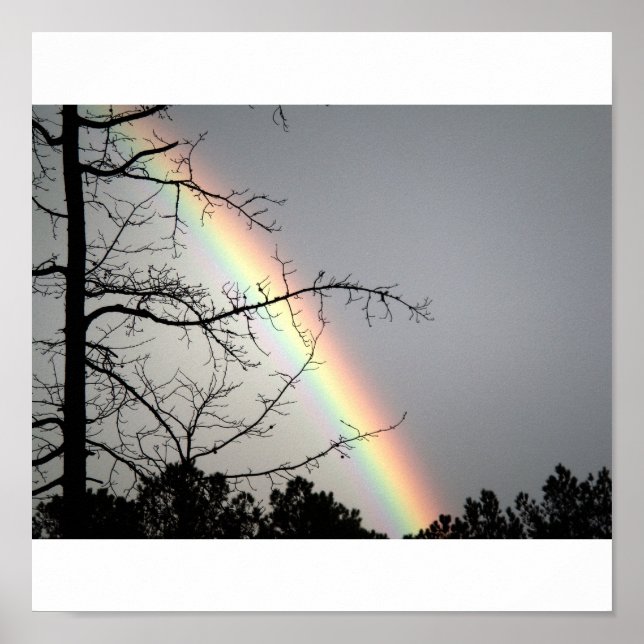 Jagen nach Rainbows Poster (Vorne)