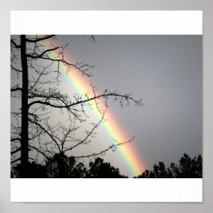 Jagen nach Regenbogen Poster