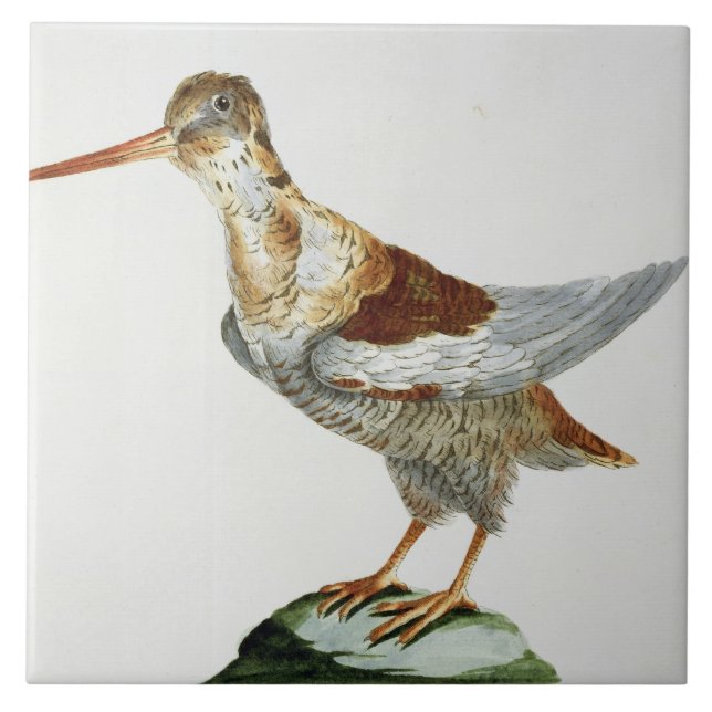 Jagen Sie, c.1767-76 Schnepfen (Hand farbiger Fliese (Vorderseite)