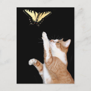 jagen Sie Ihren Traum Postkarte