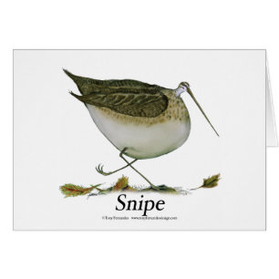 jagen Sie, tony fernandes Schnepfen