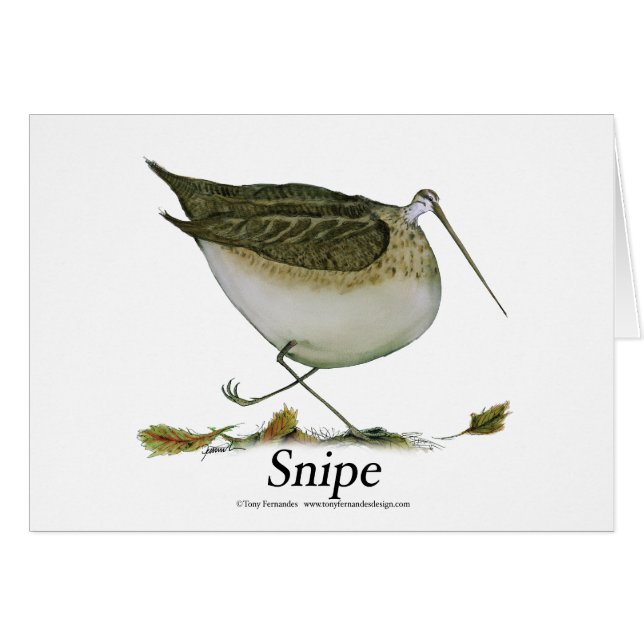 jagen Sie, tony fernandes Schnepfen (Vorderseite (Horizontal))