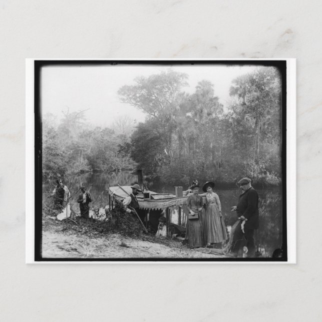 Jagen von Alligatoren, Fluss Tomoka, Florida 1880- Postkarte (Vorderseite)