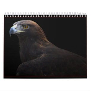 Jäger des Kalenders des Himmels 2014 Kalender