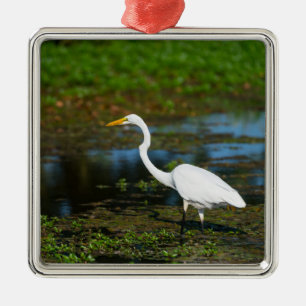 Jäger Egret Ornament Aus Metall
