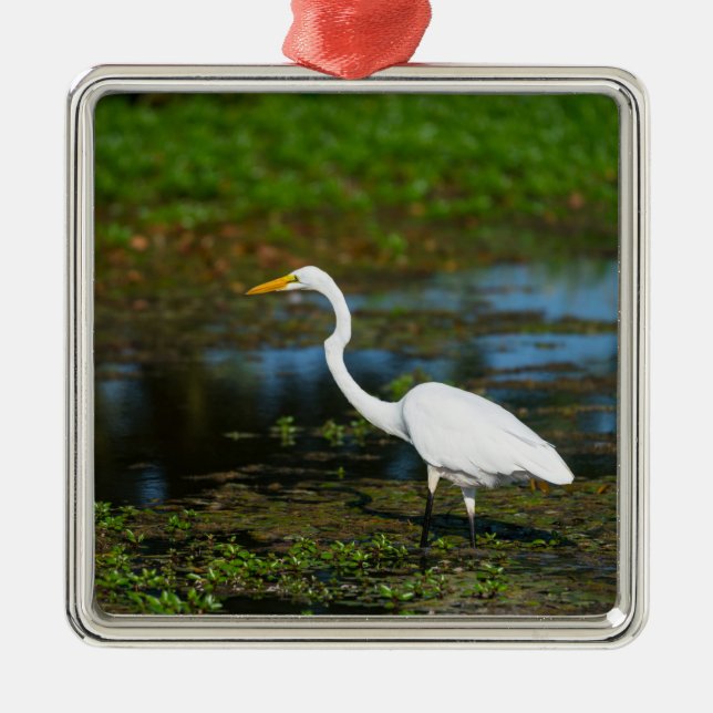 Jäger Egret Ornament Aus Metall (Vorne)