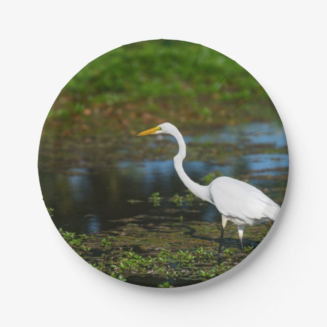 Jäger Egret Pappteller (Vorderseite)