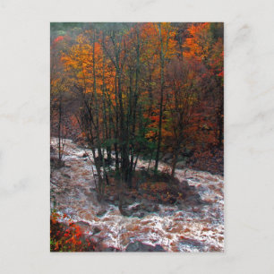 Jäger Mountain Fast Water Postkarte