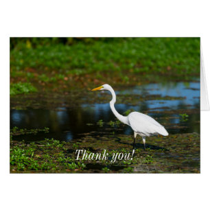 Jägerin Egret Danke Karte