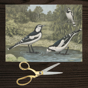 Jägerlieste von altertümlicher ornithologischer Ta Seidenpapier