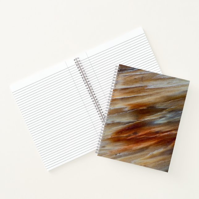 Jagged Petrified Wood Notizbuch (Innenseite)