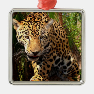 Jaguar Adoleszenz Silbernes Ornament