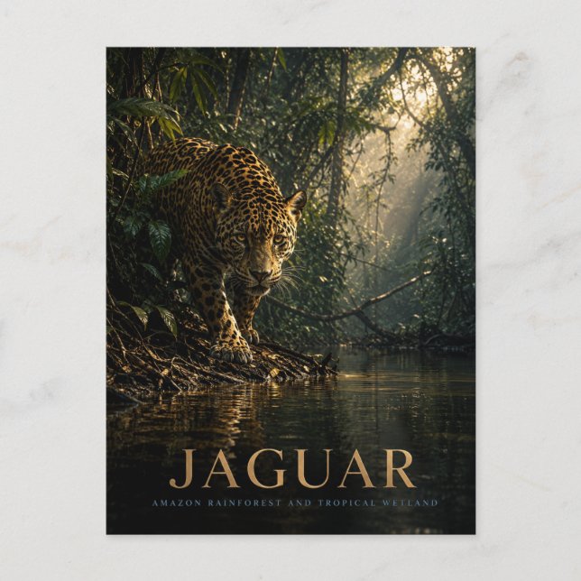 Jaguar Amazonas-Regenwald TIERE Postkarte (Vorderseite)