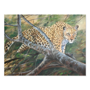 Jaguar auf dem Prowl Fotodruck