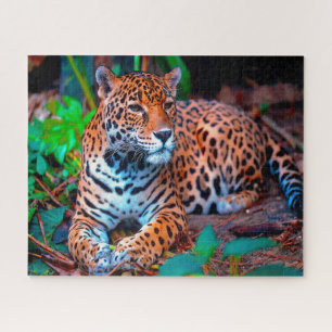Jaguar Big Cats . Puzzle