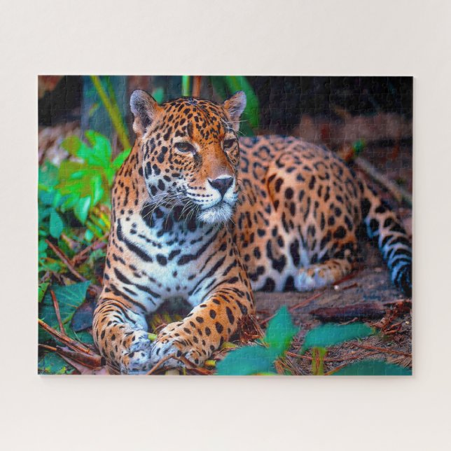 Jaguar Big Cats . Puzzle (Horizontal)