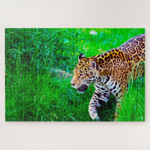 Jaguar Big Cats . Puzzle