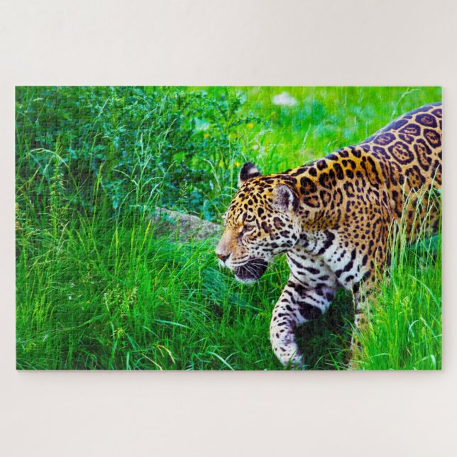 Jaguar Big Cats . Puzzle (Horizontal)