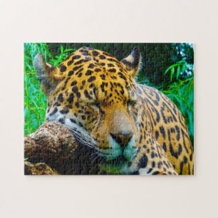 Jaguar Big Cats . Puzzle