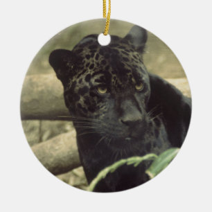 Jaguar Black Panther Art Keramik Ornament